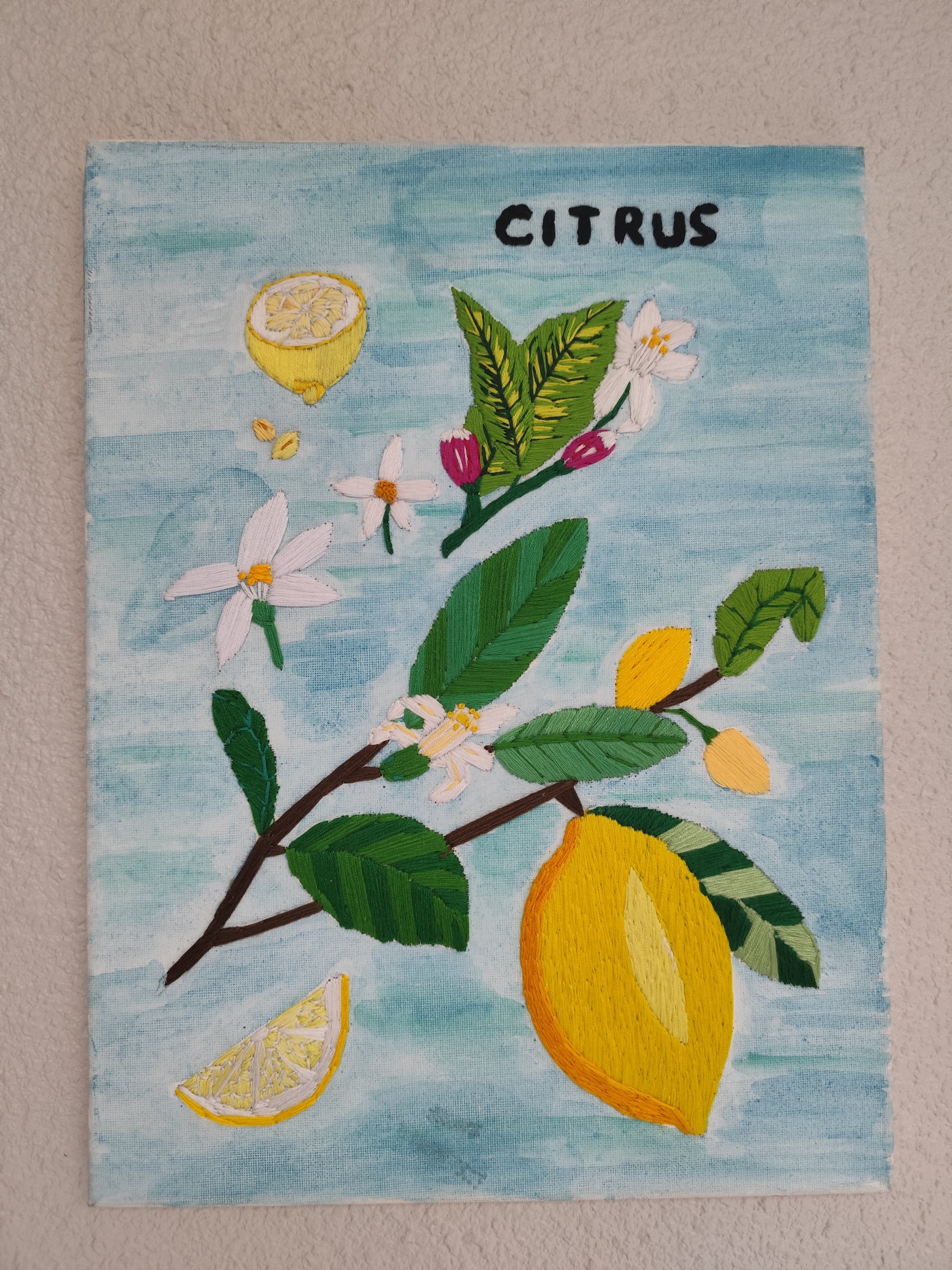 Tableau brodé Citrus